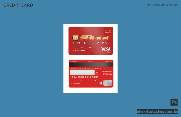 USA Wells Fargo Bank Visa Debitkarte – Beispielvorschau